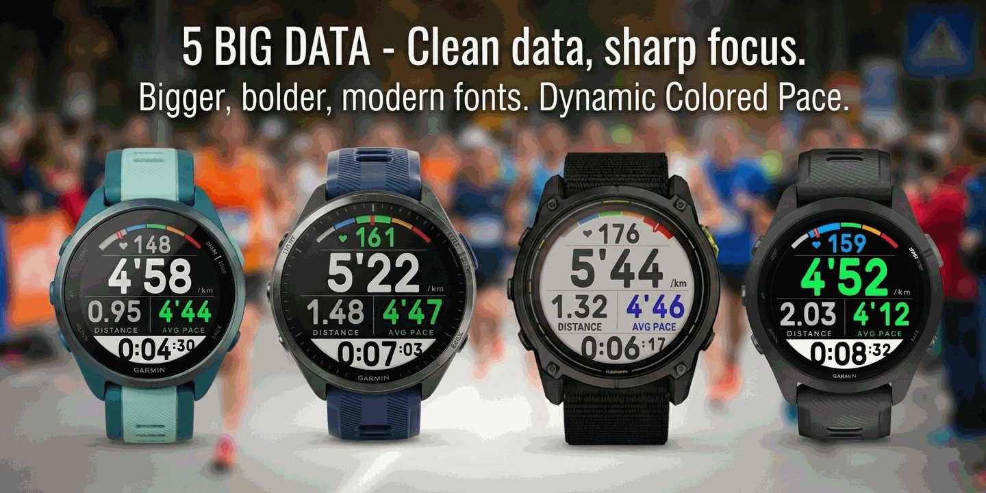 5 BIG DATA em quatro Garmins